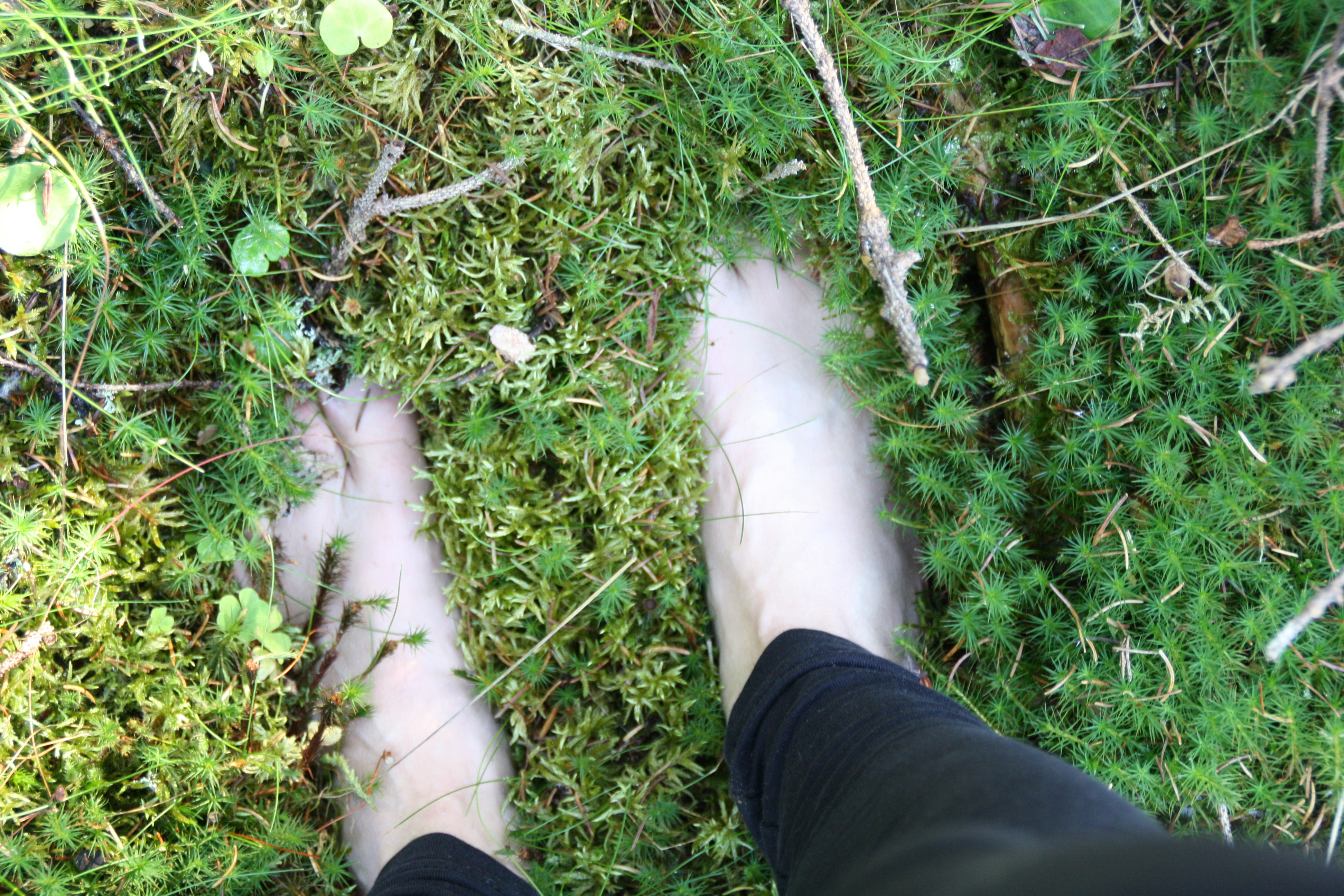 „MOOR MYTHEN & WAHRE WUNDER“ im Tannermoor