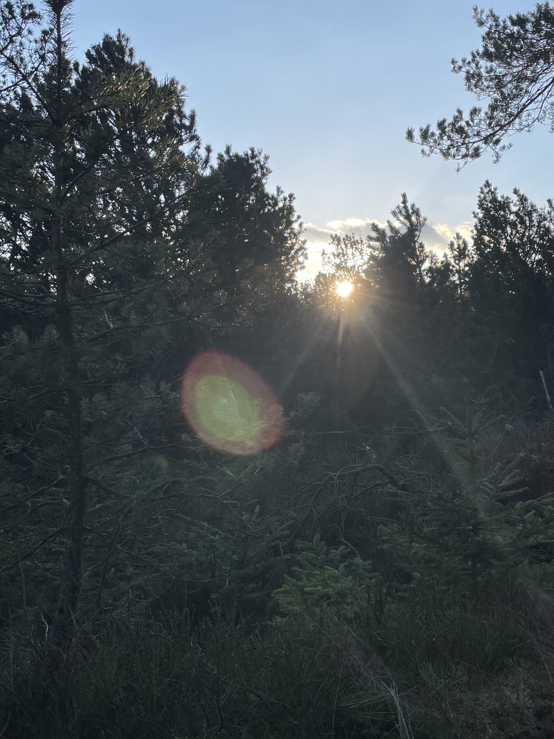 „Moor Action“ in der Meloner Au